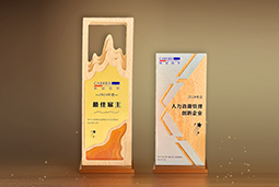 尊龙凯时国际一举斩获“2024年度中国区最佳雇主”等多项大奖