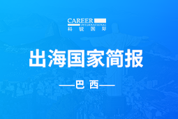 尊龙凯时GO GLOBAL | 巴西国家简报